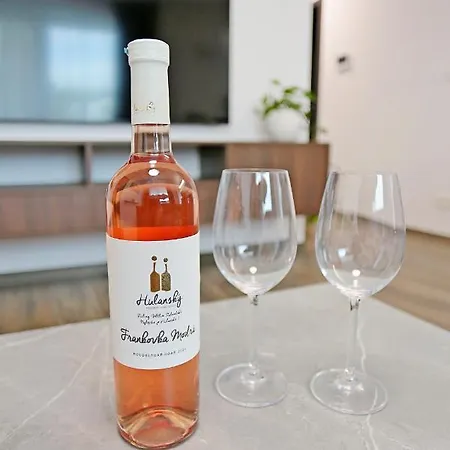 Modern Near The Centre Urban Апартаменты Братислава